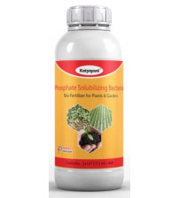 Katyayani Phosphate Solubilizing Bacteria (1 Litre x 3 Bottles)